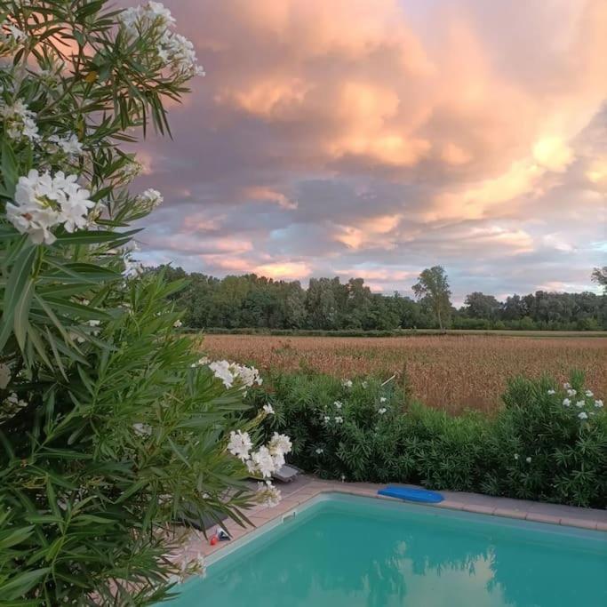 Villa Malisa La Voulte-sur-Rhone Экстерьер фото